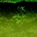Green reflection