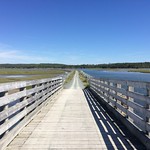 Salt Marsh Trail, Cole Harbour Nova Scotia
