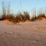 Dunes and Moon at Sunrise