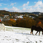 Telet&iacute;n meadows