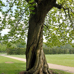 Come on let's twist again!! (like we did last summer)