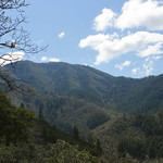 Little Grayback Mountain