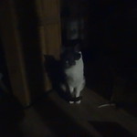 Moon light in livingroom