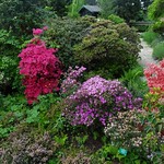 Wien, 3. Bezirk, Botanischer Garten, Giardino botanico, Jard&iacute;n bot&aacute;nico, Jardin botanique, botanical garden, Ogr&oacute;d botaniczn (Alpengarten - rockery, jard&iacute;n con rocas y plantas alpestres, giardino roccioso, rocaille)