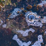 Fifty Self Portraits