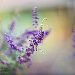 No Escaping Velocity