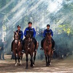 Oefening Prinsjesdag