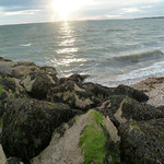 Solent