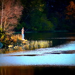 &ldquo;Water is the driving force of all nature&rdquo; Leonardo da Vinci