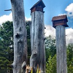Birdhouses