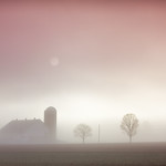 What will the future tell