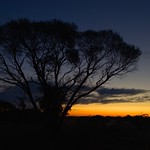 Outback Sunset