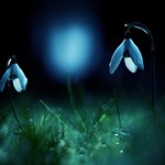 A street at midnight ...