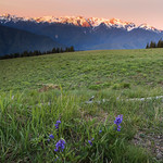 Nothing great in the world has ever been accomplished without passion&hellip;