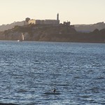 Alcatraz II