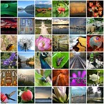 My August Favorites #3