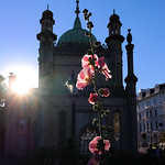 A Day Trip to Brighton