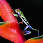 The Hard Climb To The Top !!!!!!!!!