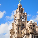 LIVER BUILDING