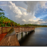 There Has to be a Rainbow Somewhere