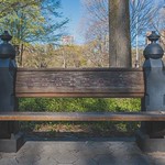 A bench in Central Park, New York City