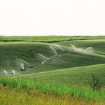 Rolling hills of Walla Walla