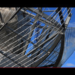 Des ailes de verre...