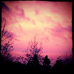 Pink skies #sandiego #sunset