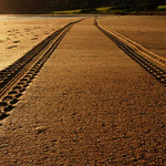 GOLDEN TRACKS