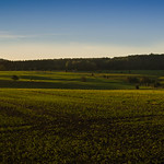 September_Morgen (1 von 1)