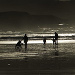 Lahinch Beach Family (over 1500) (39) (474)