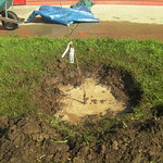 Fruit Tree Distribution 2013