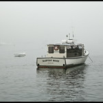 Rockport Harbor #20 Harvet Moon in the Fog