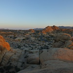 Jumbo Rocks Full Moon Camp