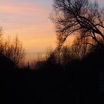 Sonnenuntergang mit Blick auf St.Nikolai Dom (in Explore)