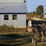 Amish country