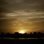 sunset over suburbia