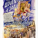 11a The Adventures of Jane at the Tudor Close Hotel by Amanda Davidson img975