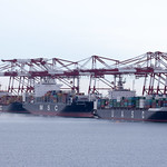 Deira, MSC Alicante and MSC Eloise