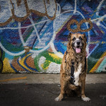 7/12 Misty - urban vibe...