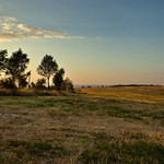 in the evening, after the wheat harvest...