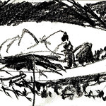 Opera House from the Opera Bar