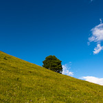 Solitudini Apparenti