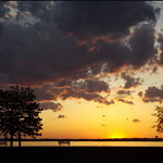 The Beauty of It All (2)