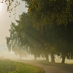 Am Anfang eines hei&szlig;en Tages - At the beginning of a hot day