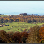 Surrounded By Autumn.