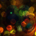 So Much to Love About Nature