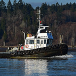 Sea Imp IX Tugboat