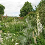 Sissinghurst Castle and Garden - The Famous White Garden