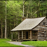 Carter Shields Cabin